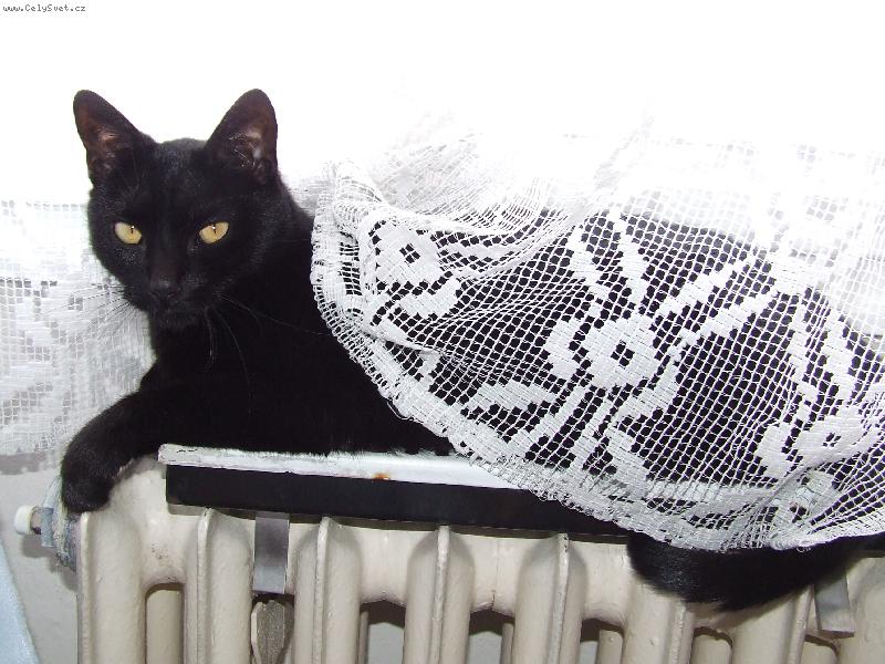 Foto: Princezna se z�vojem