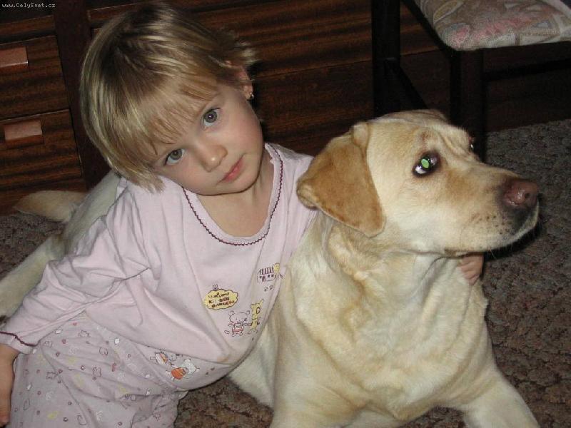 Foto: jedna kr�sn�j�� jak druh�-dcerka dr�� na�� fenku Shejnu