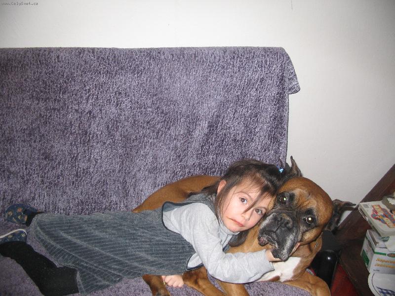 Foto: Na�i mil��ci-N� 9 let� boxer je opravdu mil��kem na�� dcery - hodn�j��ho psa jsem nikdy nepoznala