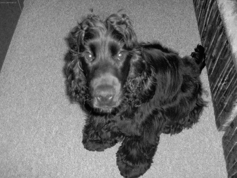 Foto: Milou�ek-Stra�n� r�d p�zuji.