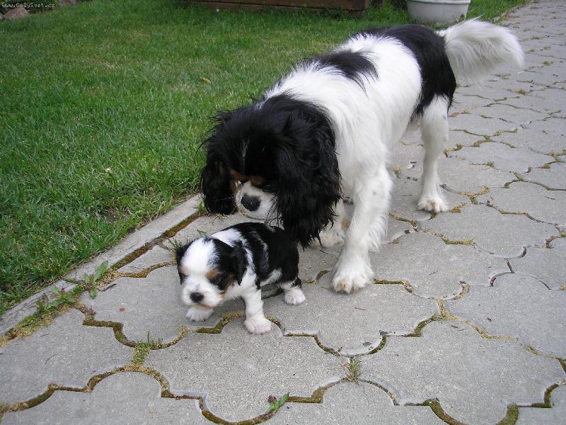 Foto: Tati nech m�!-super!!!!!!!!!!!!