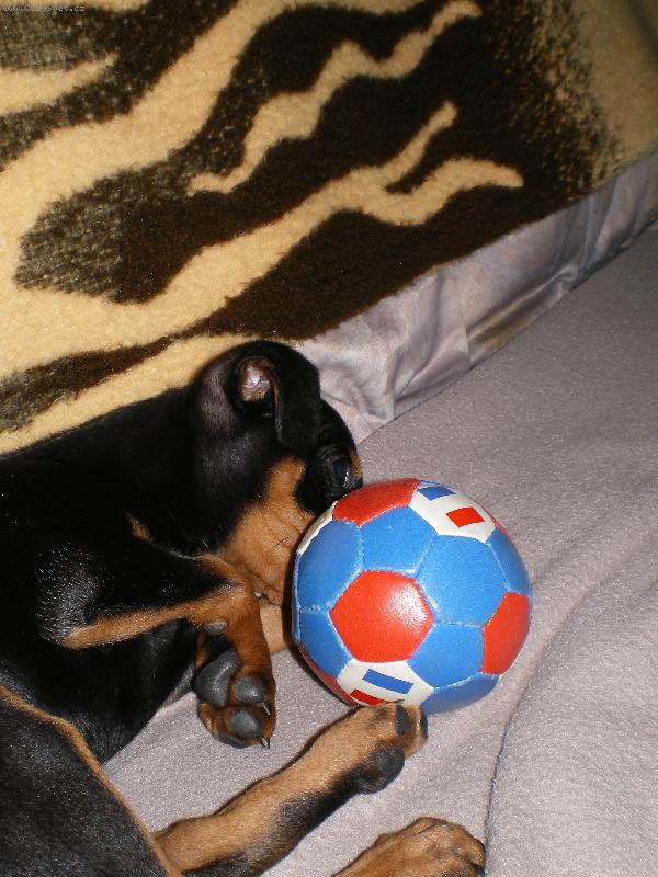 Foto: Rocky bramb�rka co dodat :o)-Nekouk�t to je muj m��ek !!! =o)