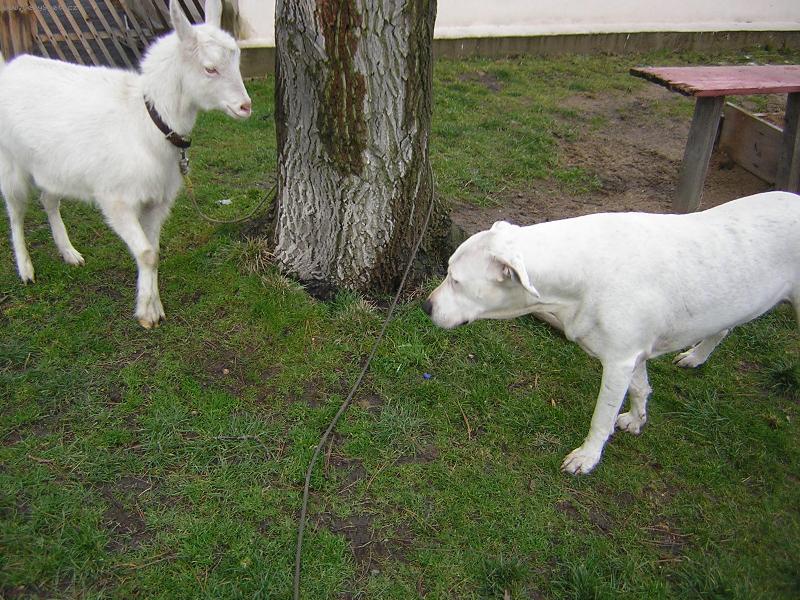 Foto: Kamar�di-Kam dnes p�jdem