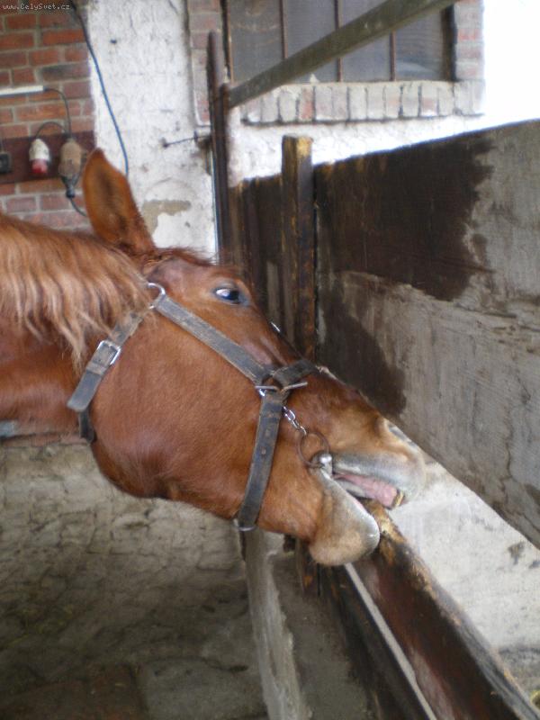 Foto: Simou�ek-"Moc mi to chutnalo dokud mi to nenat�eli �ernou barvou =oP