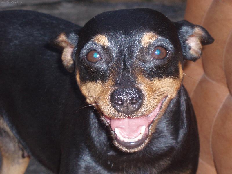 Foto: KELLY-�SM�V PRO V�ECHNY MIL� LIDI�KY