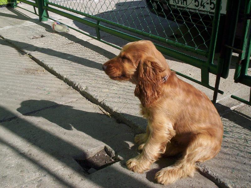 Foto: Keny-to je ale fi��k