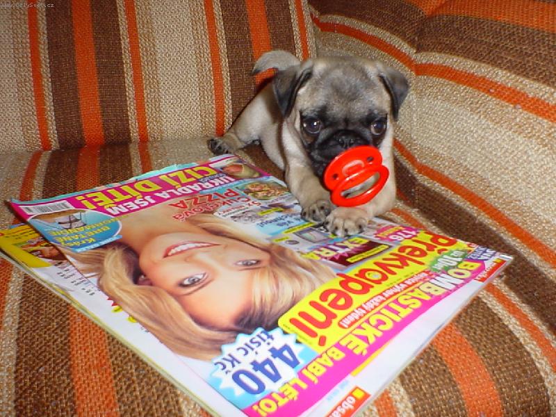 Foto: Odpo�inek-Co tam asi p�ou ?