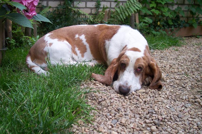 Foto: Kdo m� to fot�-N� Ferdinand r�d odpo��v� a jen zved� o�i