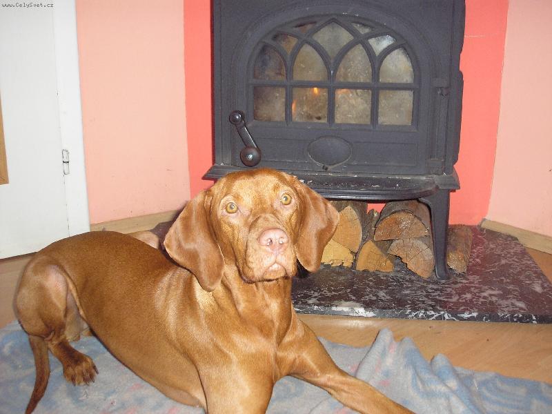 Foto: Tesska u kamen