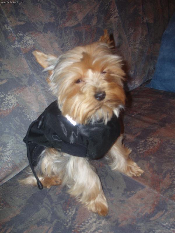 Foto: M�j prvn� oble�ek.-V�bec se v tom nec�t�m!