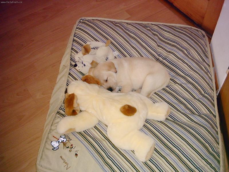 Foto: Uhodnete, ktery jsem ja