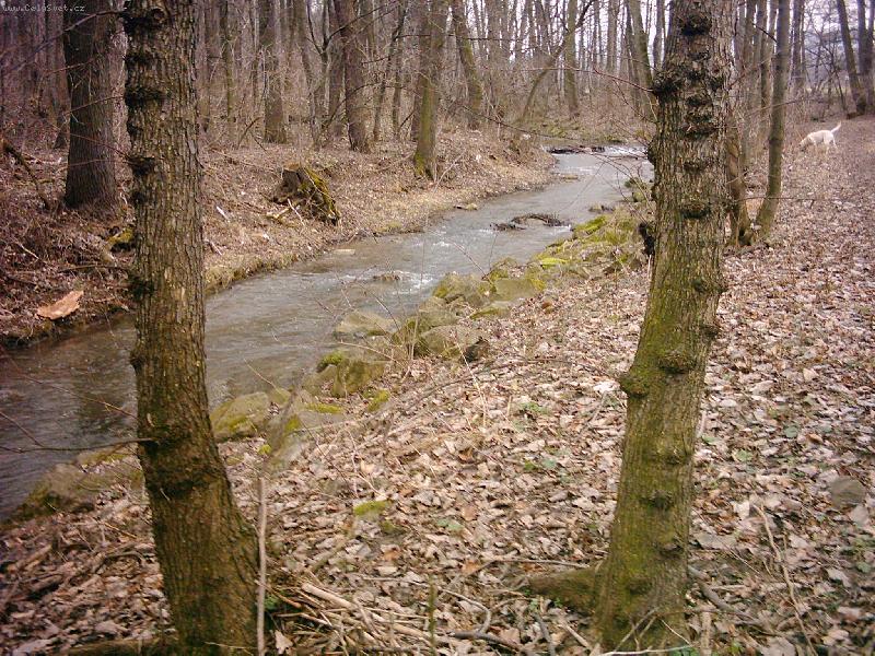 Foto: Zimn� p��roda na Slov�cku-ikdy� vypad� sp�e na podzimn�...