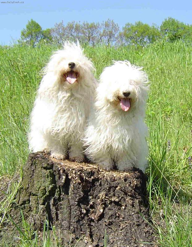 Foto: Matka s dcerou