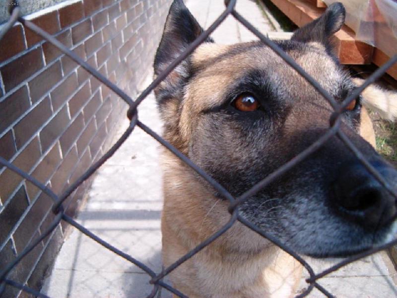 Foto: Hasan-n�co m� asi spadlo do oka..mrkne� se m� tam:)