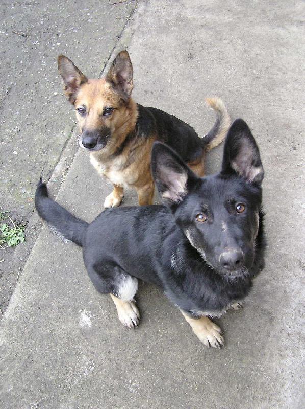 Foto: Dva "and�lci"-Mat�sek a Terezka