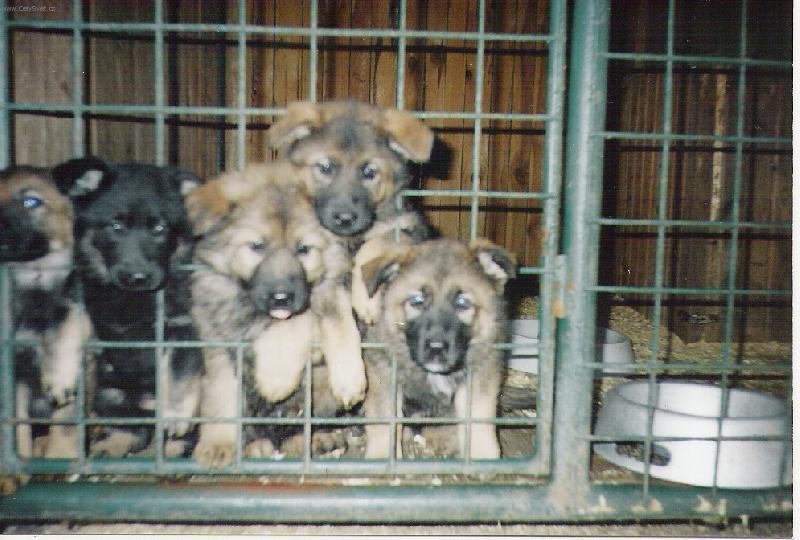 Foto: Bylo n�s p�t...