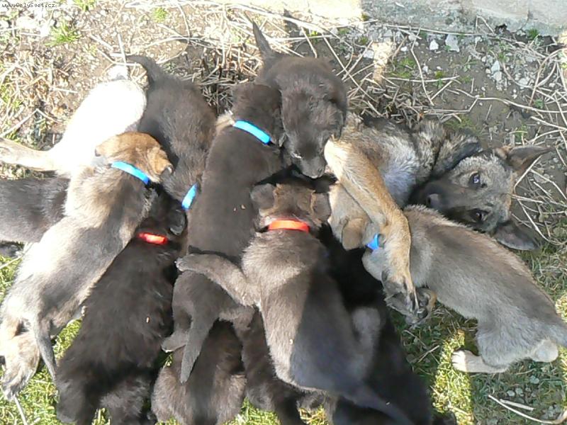 Foto: m�ma nen� skoro vid�t,kdy� se do n� pust�me..11n�s je-11 je p�kn� ��slo