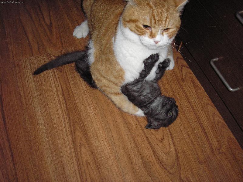 Foto: tak se m�me r�di:)))-Kub��ek a Mat�sek