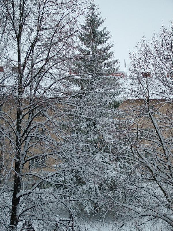 Foto: zima 2006-Sn�hov� nad�lka