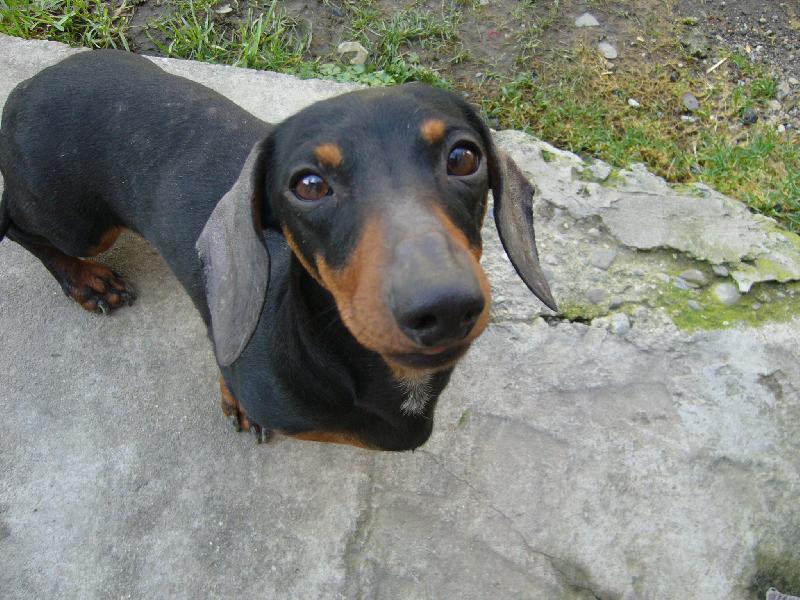 Foto: XEND�K-co chce�!?