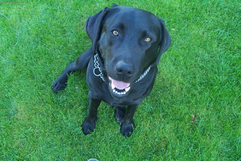 Foto: Sakra kdy u� z toho okna n�co spadne!!!-Loud�n�