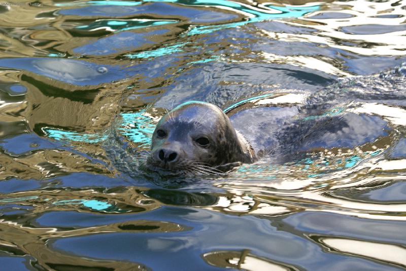 Foto: Tule�-ZOO Jihlava