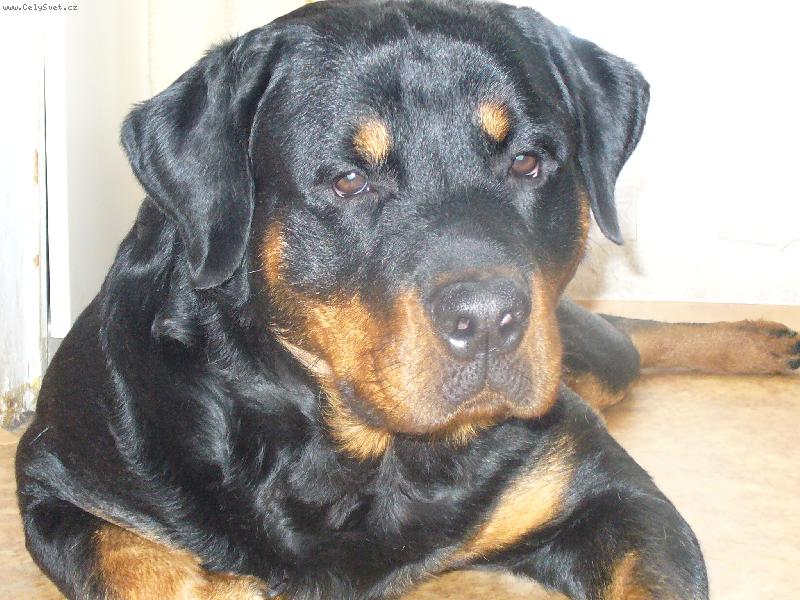 Foto: Butk�sek-Butk�sek