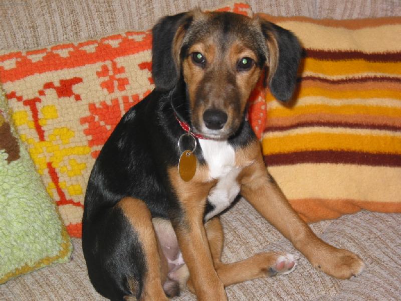 Foto: Bobinka-Na gau�i je nejl�p :-)