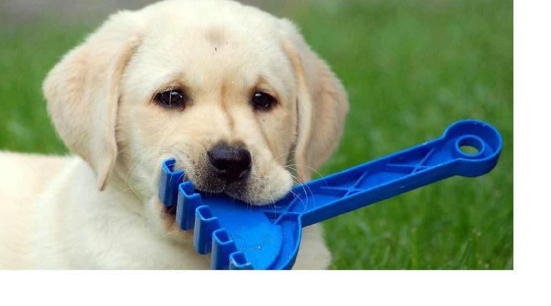 Foto: �t�n� retr�vra-Poj� si u� hr�t