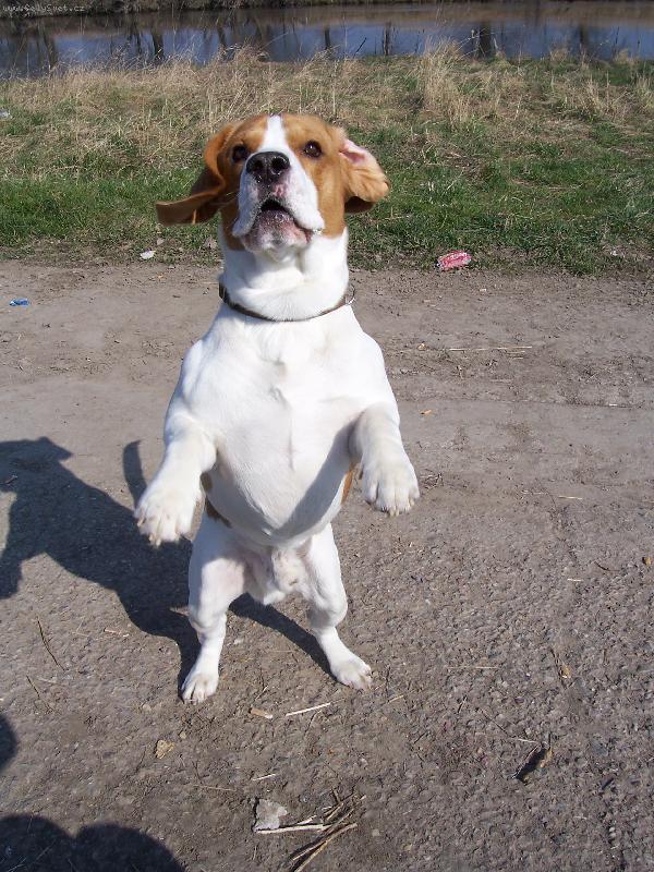 Foto: pros���m-d� mi n�co?