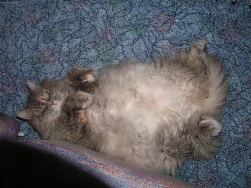 Foto: Lady Jenny-Tak takhle spink�m :-)