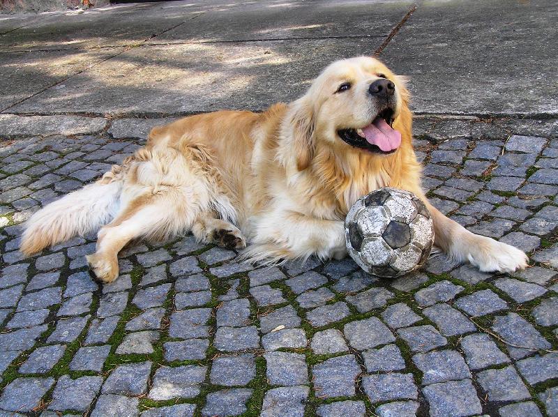 Foto: Gold�-Ten balon je m�j