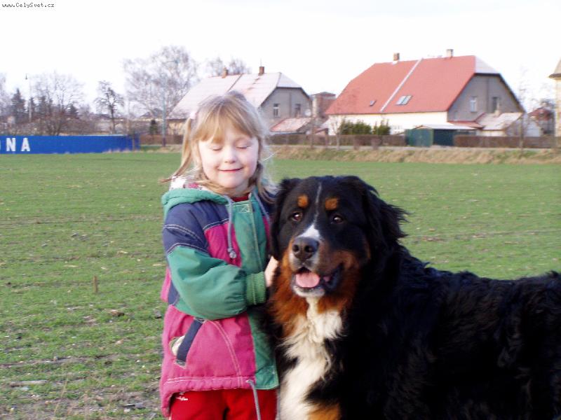 Foto: Achil z Opatovick�ch luk-Hl�d�m