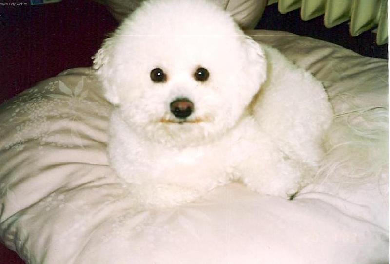 Foto: Arkinka-Odpoledn� siesta