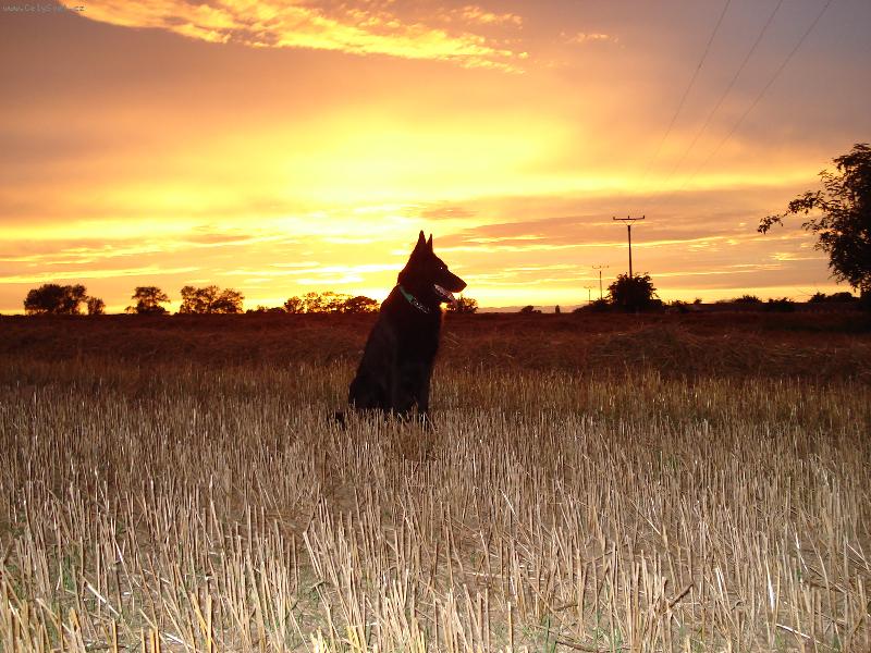 Foto: Z�pad slunce-Proch�zka p�i z�padu slunce