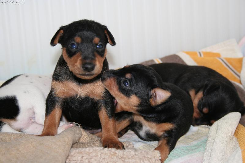 Foto: �t�natka-tak a ted te snim !!:)