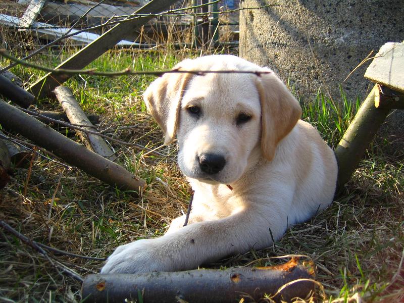 Foto: Geena-klac�ky m�m nejrad�i