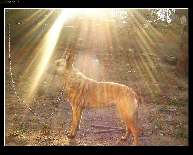 Foto: V zajet� paprsk�-Carmen