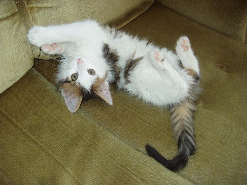 Foto: No tak, poj� u� si hr�t...