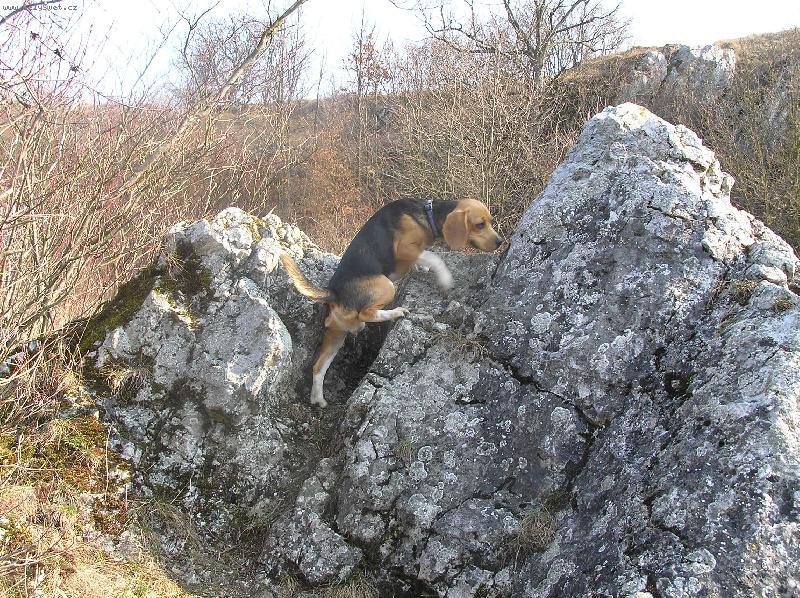 Foto: Tr�nink na M. Everest