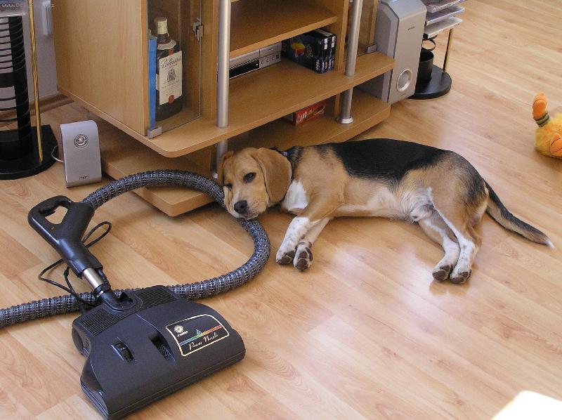 Foto: To vys�v�n�, ale zm�h�...