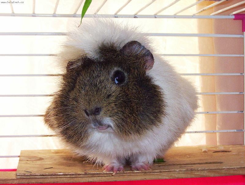 Foto: ..fote�ka pouh�...pro rodinu...-Mor�e