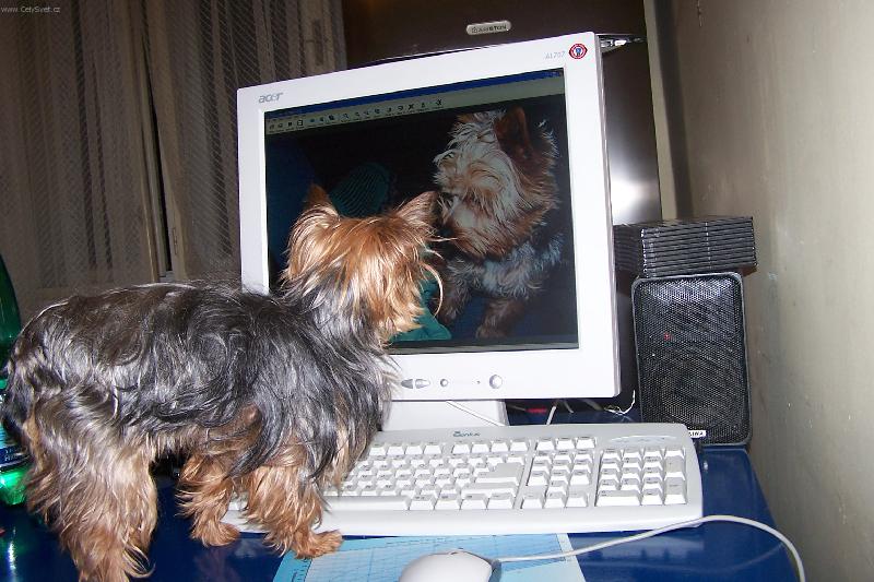 Foto:  U po�ita�e- kdo to tam je?