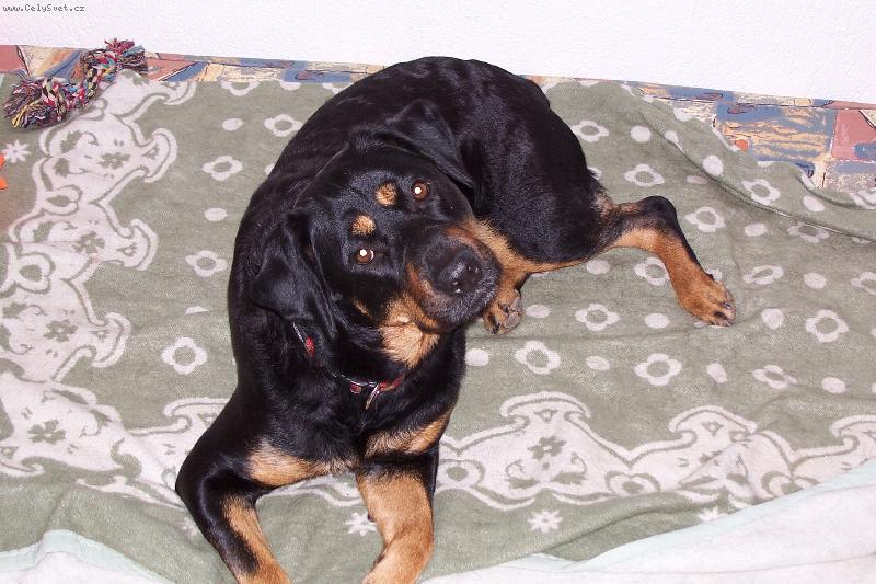 Foto: M�ja-..ty jsi to nepochopil?