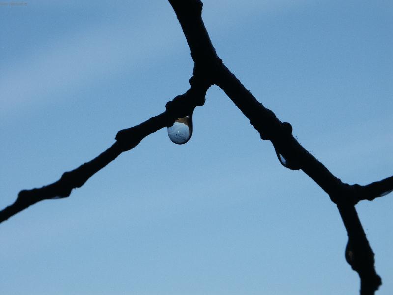 Foto: Kapka-Kapka u lu�nice