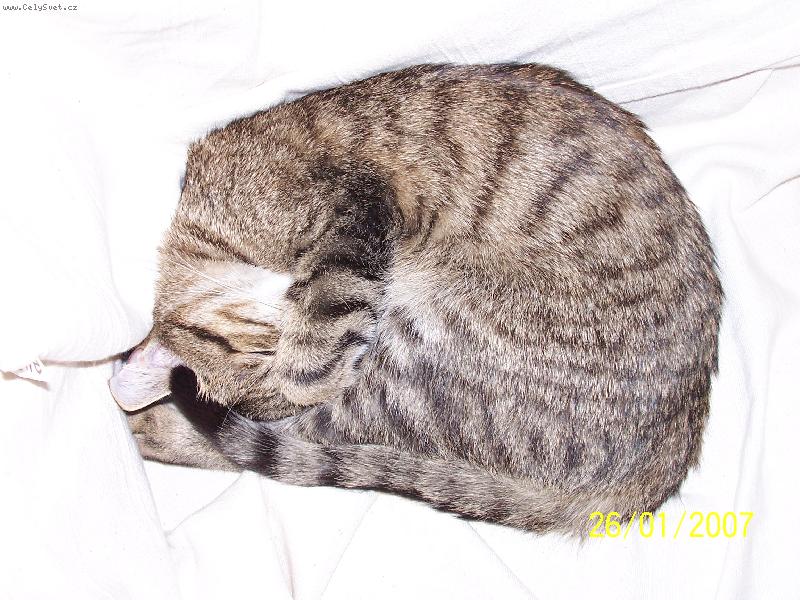 Foto: Najdes kde m�m cum�cek???