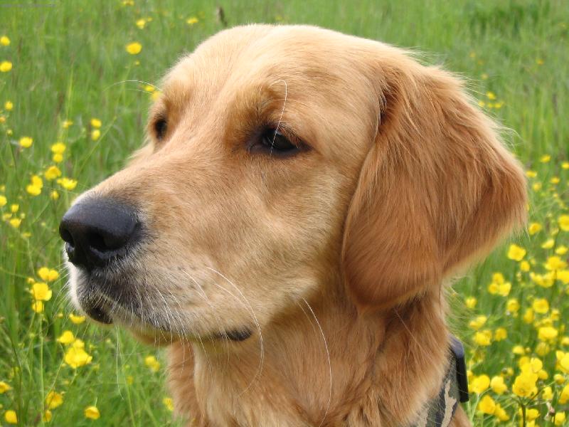 Foto: Jarn� sn�n�-Pohled do nezn�ma