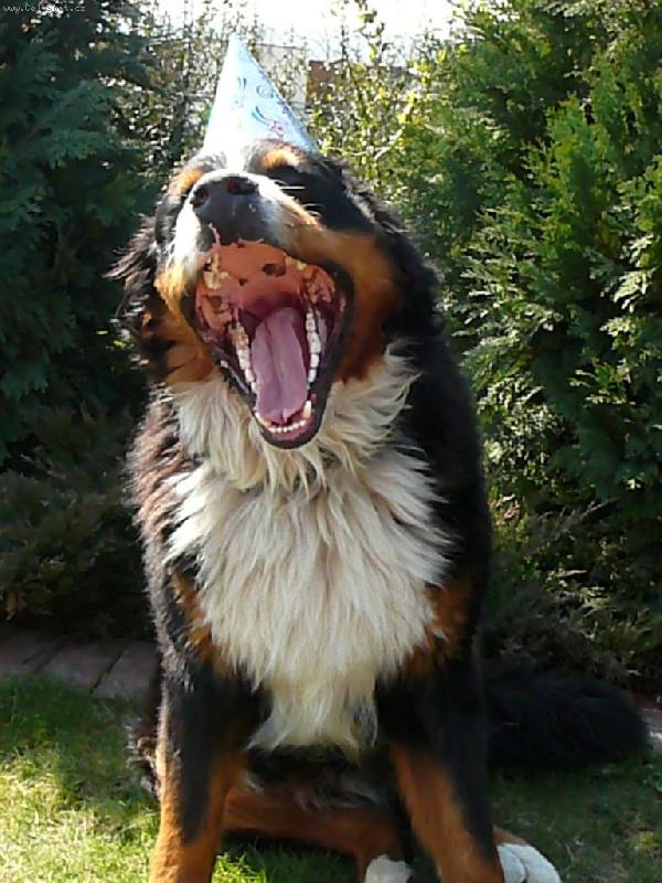 Foto: Edy rok-�nava po oslavov�n� :-))