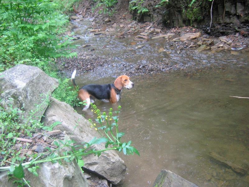 Foto: Pips�k-No co? O�ista je o�ista!!!