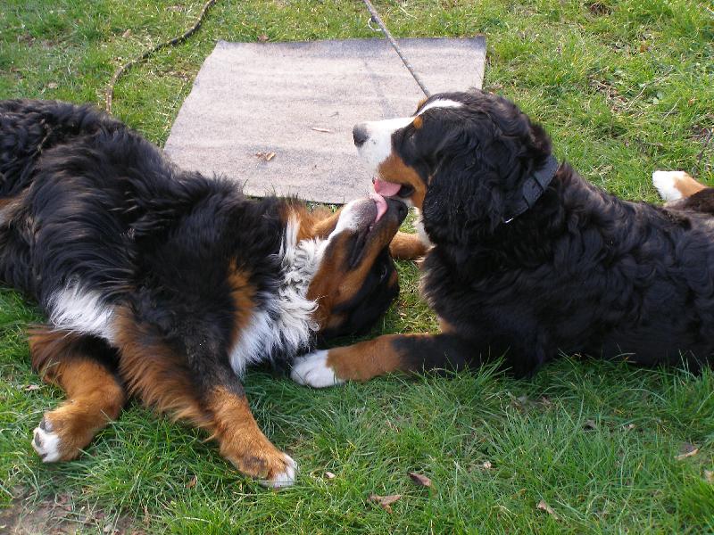 Foto: Pusinka...-Pusinka Elisa a Achil